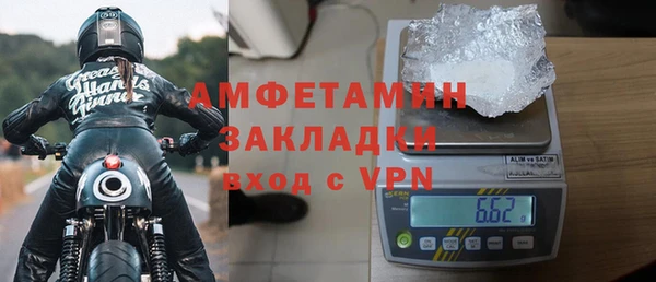 мет Алексин