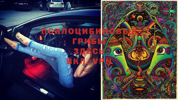 apvp Липки